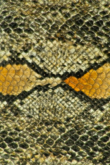 Γυναικεία τσάντα ώμου χιαστί K1W29S2